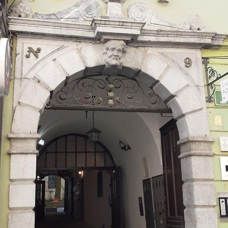 Lovely Old City-Center Apartment Ljubljana Kültér fotó